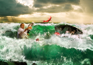 Catch of the Day Color Awards Winners and Nominees