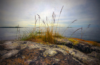 Coastal colors Color Awards Winners and Nominees