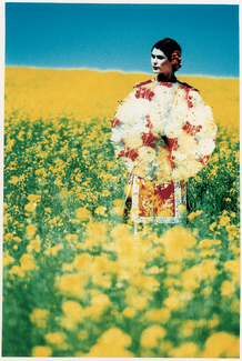 Canola Field, 1994 Color Awards Winners and Nominees