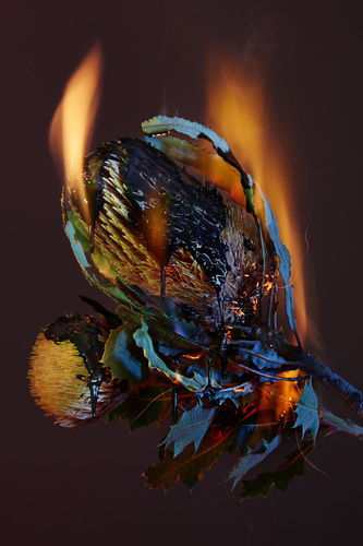 Warmer Decision 3 Warmer Decision 3