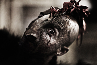 Cockfight Color Awards Winners and Nominees