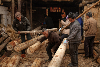 Early Days Sawmill Color Awards Winners and Nominees