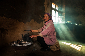 In the Kitchen Color Awards Winners and Nominees