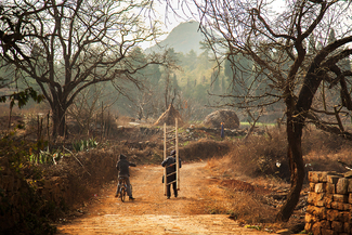 To The Farm Color Awards Winners and Nominees