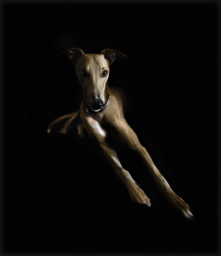 Out of the Shadow of Industry Out of the Shadow of Industry