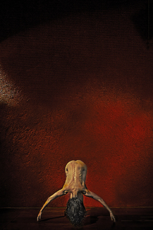 Body in Red 2 Color Awards Winners and Nominees