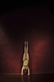 Body in Red 3 Color Awards Winners and Nominees