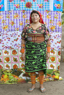 Cladis Color Awards Winners and Nominees