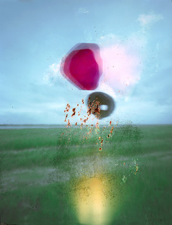 Tukan Color Awards Winners and Nominees