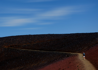 ascent Color Awards Winners and Nominees