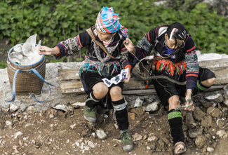 Threads Color Awards Winners and Nominees