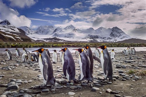 Best Foot Forward Best Foot Forward