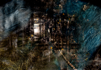 Out of the Darkness Color Awards Winners and Nominees