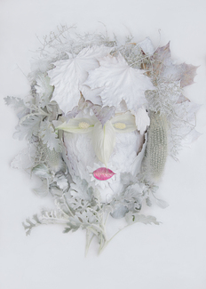 Snow widow Color Awards Winners and Nominees