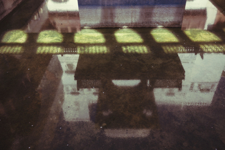 Palace Abstract Color Awards Winners and Nominees